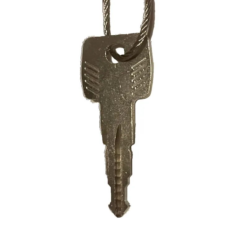 Thule Yepp Sleutel voor Yepp 2 en Yepp Nexxt 2 nummer N228 Populair