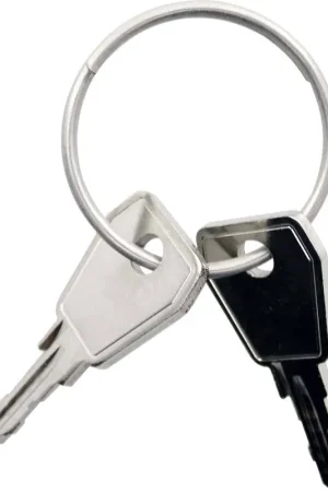Beperkte Voorraad Thule Yepp Nexxt sleutel P7 2 stuks