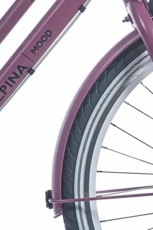 Alleen Vandaag Spatbordset 24 inch Dark Mauve Matt - Alpina