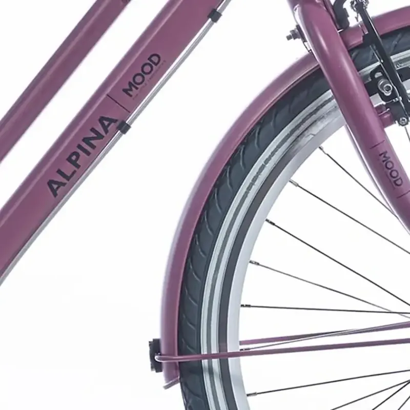 Alleen Vandaag Spatbordset 24 inch Dark Mauve Matt - Alpina