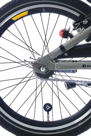 Achterwiel Zwart 20 inch - Alpina Trial Korting