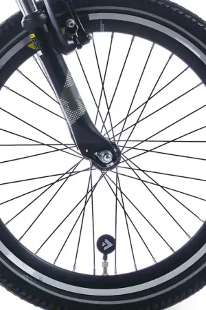 Voorwiel Zwart 20 inch - Alpina Trial Uitverkoop