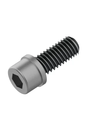 Fabrieksprijs Fahrwerker remadapter bout M6x18 LEV tl (100 stuks)
