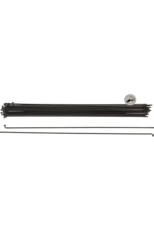 Actieprijs Alp spaak LDR 13G/246mm RVS zwart (36 stuks)