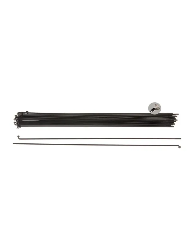 Actieprijs Alp spaak LDR 13G/246mm RVS zwart (36 stuks)