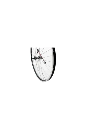Laatste Versie Roland achterwiel 28 Ryde ZAC19 zwart Shimano QC400 RVS spk