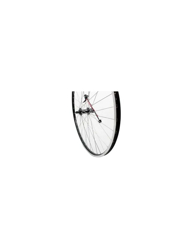 Laatste Versie Roland achterwiel 28 Ryde ZAC19 zwart Shimano QC400 RVS spk