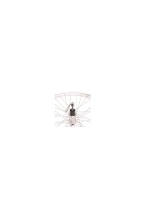 Flitsaanbieding Roland achterwiel 28 uitval cass 7v Alu AS26 zilver zink sp