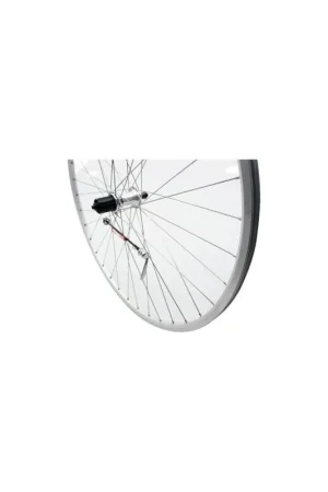 Populair Roland achterwiel 28 x 1 uitval cass 9v Race zilver RVS spk