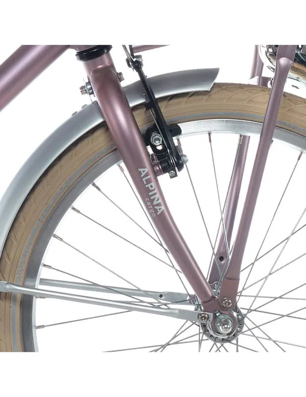 Alpina voorvork 22 Cargo wood rose matt Voordeelprijs