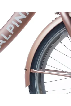 Bestel Nu Alpina spatbord set + stang 22 Clubb rose gold matt