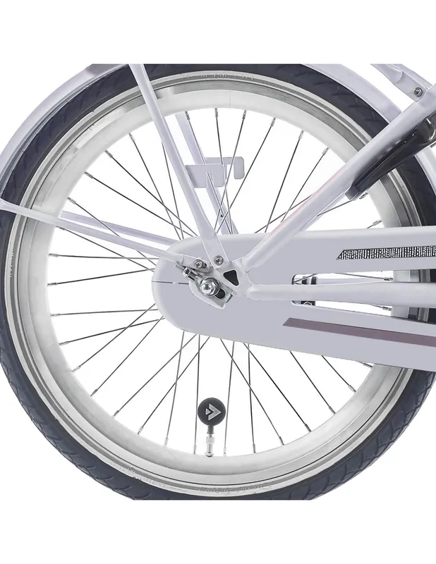 Alpina achterwiel 22 HLQC Ocean/Clubb zilver zink spk Favoriet