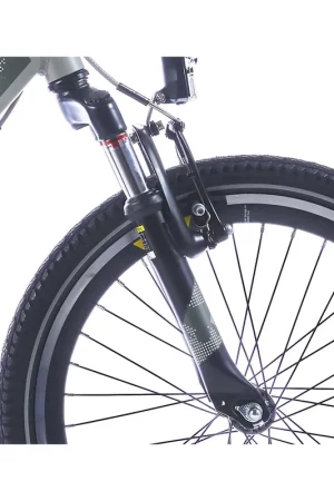 Alpina verende voorvork 22 Trial black matt Must-Have