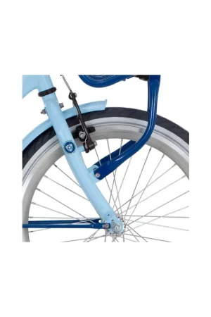 Alpina voorvork 22 Clubb ice blue Koop Online