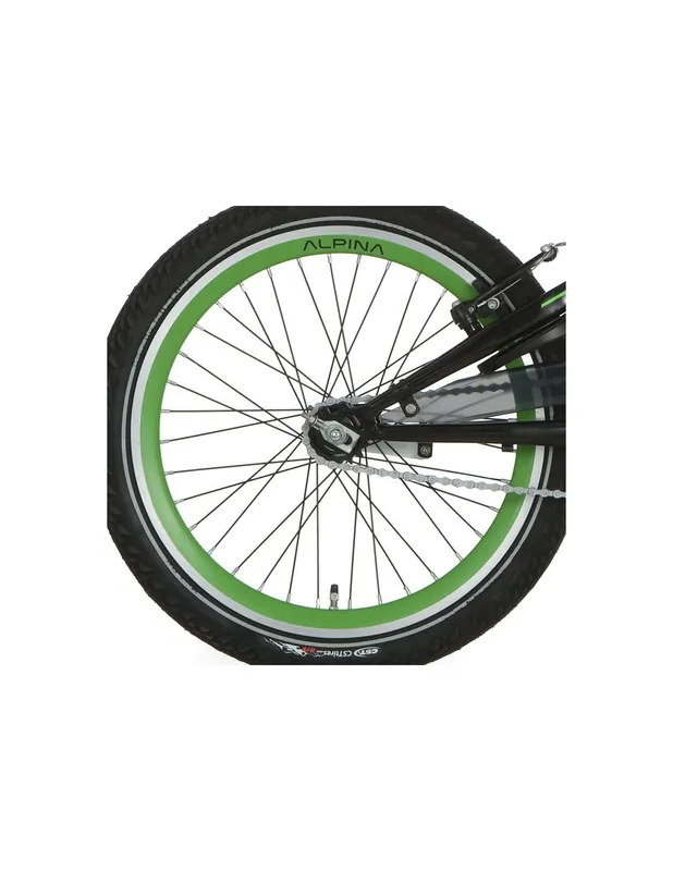 Alpina achterwiel 20 remnaaf J19DB groen zwarte spk Beste Prijs