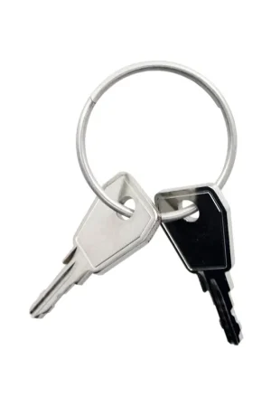 Nu Kopen Thule Yepp sleutel Nexxt P2 2 stuks