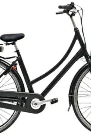Avalon E-Base/Battery 12ah 432wh/56 cm/Zwartmat/F404 Shop Nu