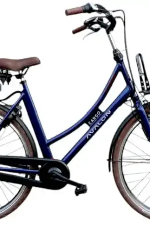 Betrouwbaar Avalon E-Cargo/Battery 12ah 432wh/50 cm/Blauw/F417