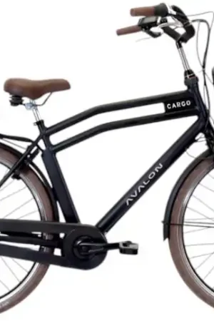 Beperkte Voorraad Avalon E-Cargo/Battery 12ah 432wh/52 cm/Zwartmat/F414