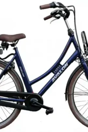 Aanbieding Avalon E-Cargo/Battery 15ah 504wh/50 cm/Blauw/F417-variable