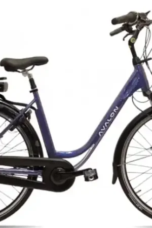 Avalon E-City/Battery 15ah 504wh/49 cm/Blauw/F435-variable Direct Beschikbaar