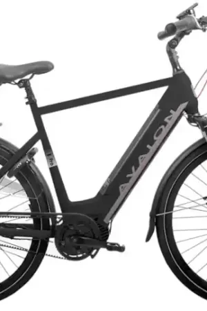 Avalon E-Pro/Battery 15ah/58 cm/Mat zwart/F471 Merkproduct