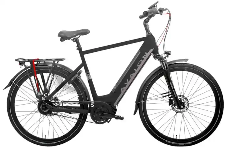 Avalon E-Pro/Battery 15ah/58 cm/Mat zwart/F471 Merkproduct