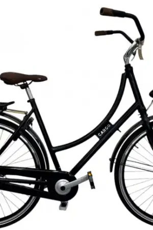 Bestel Nu Damesfiets Avalon Cargo 28" 56 cm
