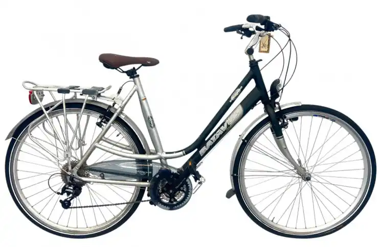Gecertificeerd Damesfiets Batavus Socorro 28" 58