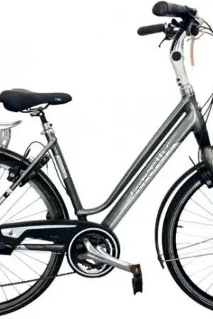 Damesfiets Gazelle Ultimate 28" 49 Op = Op