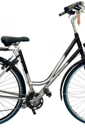 Aanbieding Damesfiets Koga Miyata Road Runner Lady-S 28" 50