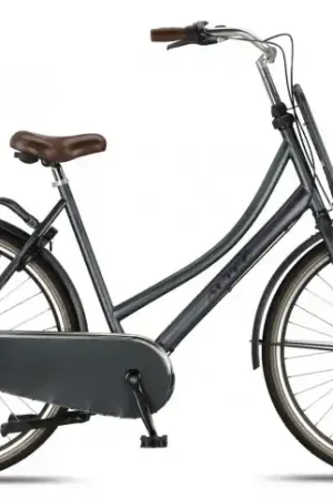 Laatste Versie Damesfiets Altec Dutch 28"/50cm/Transportfiets/N-3/GrayGrijs
