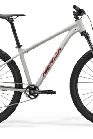Bestel Nu Merida BIG NINE 200 29"/XL-51cm/10ver/Grijs/2026/A62611A01346