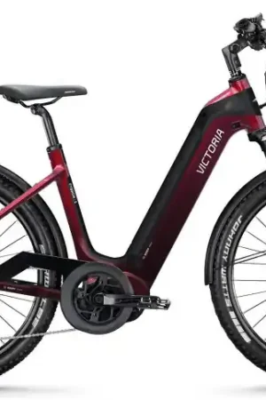 VICTORIA Elektrische SUV Fybron №1 27.5"/56cm-L/11/eekhoornoranje/02922116 Lage Prijs