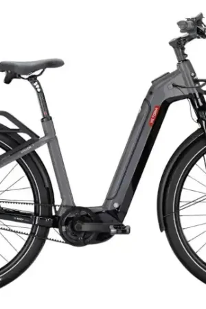 Express Levering VICTORIA Elektrische Urbanfiets UTILYON 1 №1 29"/52cm-M/5/zeehondengrijs/02920282