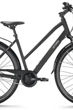 VICTORIA Trekkingfiets TREQANA 7 №1 28"/46cm-S/8/leigrijs mat/02921260 Koopje