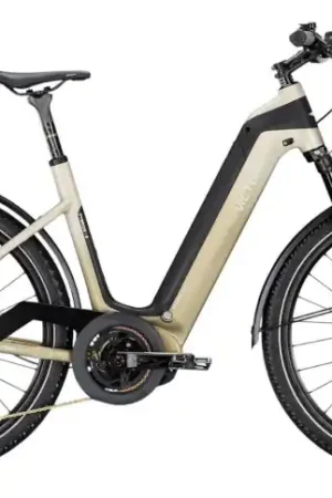 VICTORIA Elektrische SUV FYBRON 8 №1 27.5"/56cm-L/12/tarwebeige/02920617 Favoriet