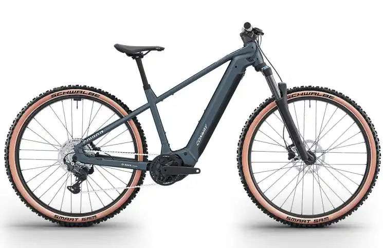 Beste Prijs CONWAY Elektrische MTB Hardtail Cairon S 2.0 800 №1 29"/45cm-M/9/antraciet mat/02810631