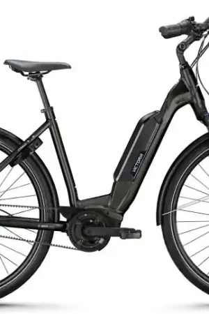 Rechtstreeks Van De Fabrikant VICTORIA Elektrische trekkingfiets Cysalo 9 №2 28"/48cm-S/8/onyxgrijs/02921045