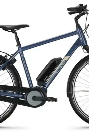 Koop Online VICTORIA Elektrische trekkingfiets CYSALO 11 28"/48cm/7/zilvergroen/02983501