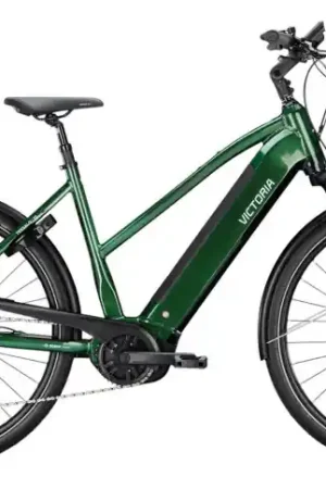 VICTORIA Elektrische trekkingfiets TRESALO 12 №1 28"/53cm-L/9/smaragdgroen/02920185 Weekendaanbieding