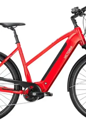 VICTORIA Elektrische trekkingfiets TRESALO 14 №1 28"/48cm-M/10/carbon raw - grafietgrijs mat/02920144 Rechtstreeks Van De Fabrikant