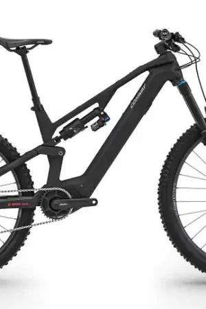 CONWAY Elektrische MTB Full-Suspension Ryvon LT 4.0 29"/46cm-XL/12/carbon - zilver/02830078 Shop Nu