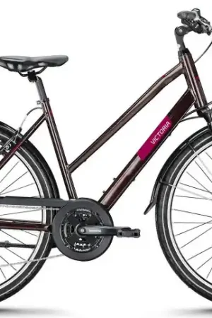 Hete Deal VICTORIA Trekkingfiets TREQANA 2 28"/46cm-S/24/rossobruin/02985943