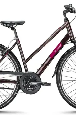 VICTORIA Trekkingfiets TREQANA 2 28"/51cm-M/24/rossobruin/02985950 Koopje