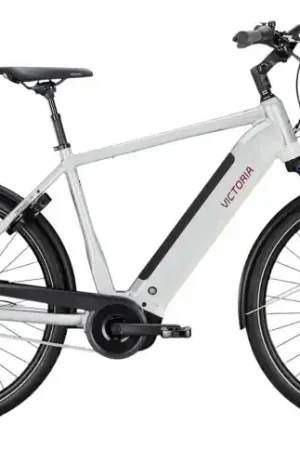 VICTORIA Elektrische trekkingfiets TRESALO 15 №1 28"/55cm-M/5/airstream zilver/02920122 Op = Op