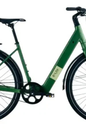 Avalon E-Lite Dames 28"/50cm/Groen-mat/360Wh 36V 10.4Ah/Bafang singlespeed Must-Have