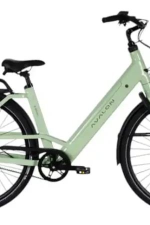 Express Levering AVALON E-Moev 28"/56cm/Licht-groen/540Wh/36V/15Ah