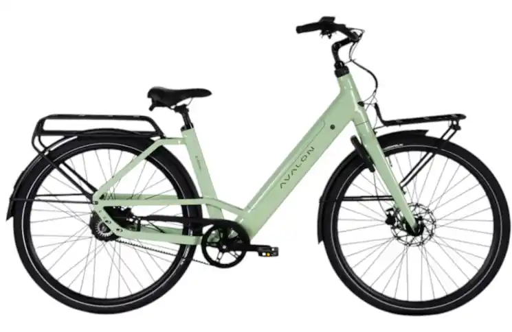 Express Levering AVALON E-Moev 28"/56cm/Licht-groen/540Wh/36V/15Ah