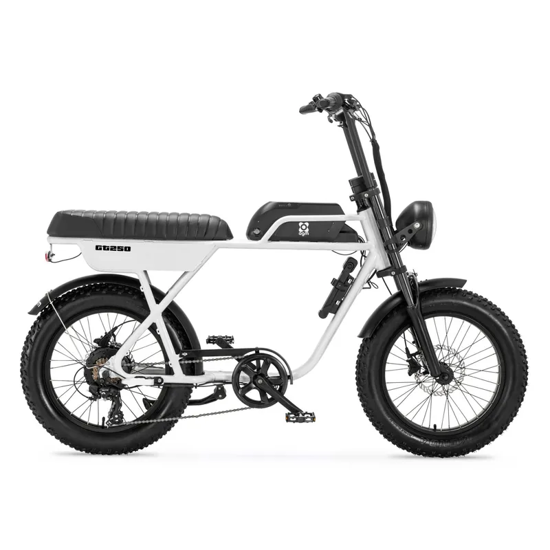 Nu Kopen Liever je nieuwe fiets of scooter in termijnen betalen?